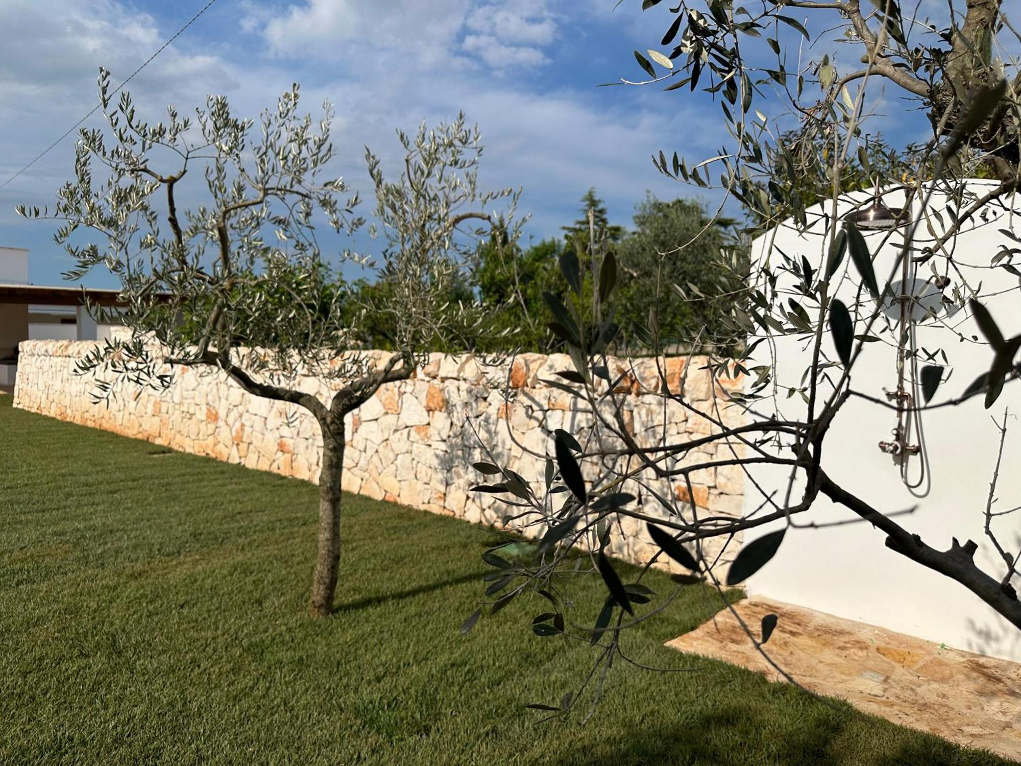 Trullo Gemma Holiday home Martina Franca