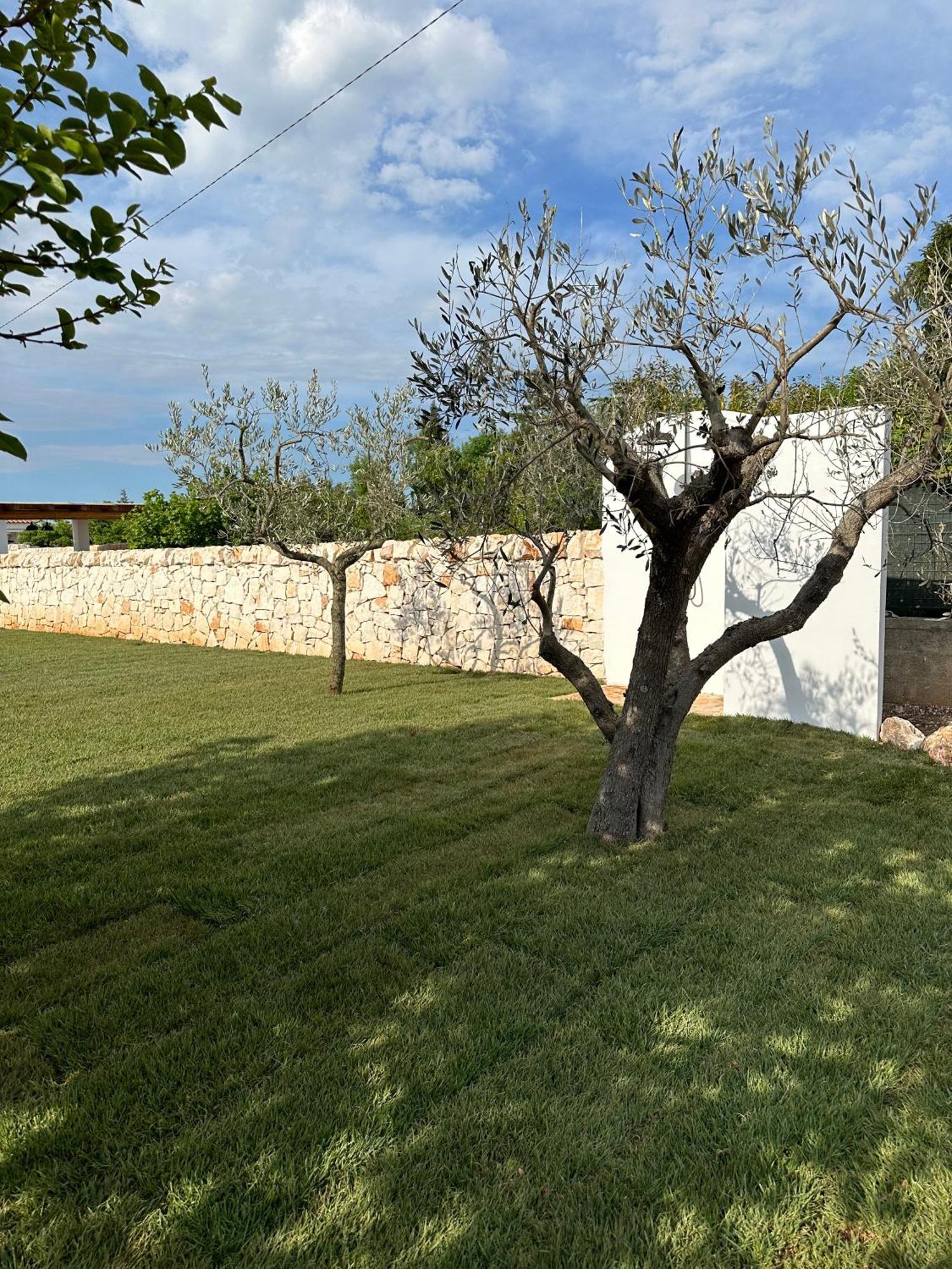 Trullo Gemma Holiday home *